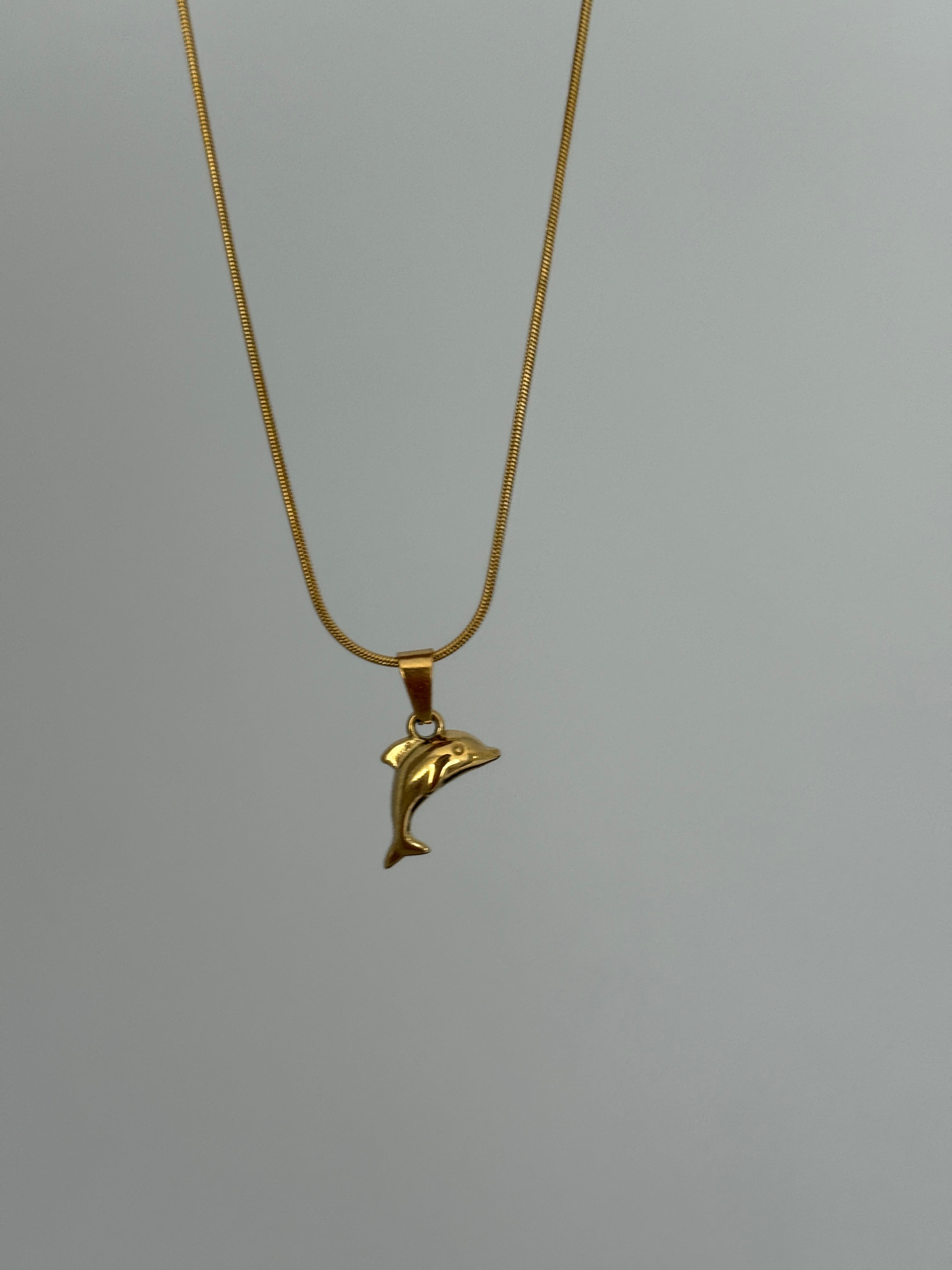MELİCOLLECTİON