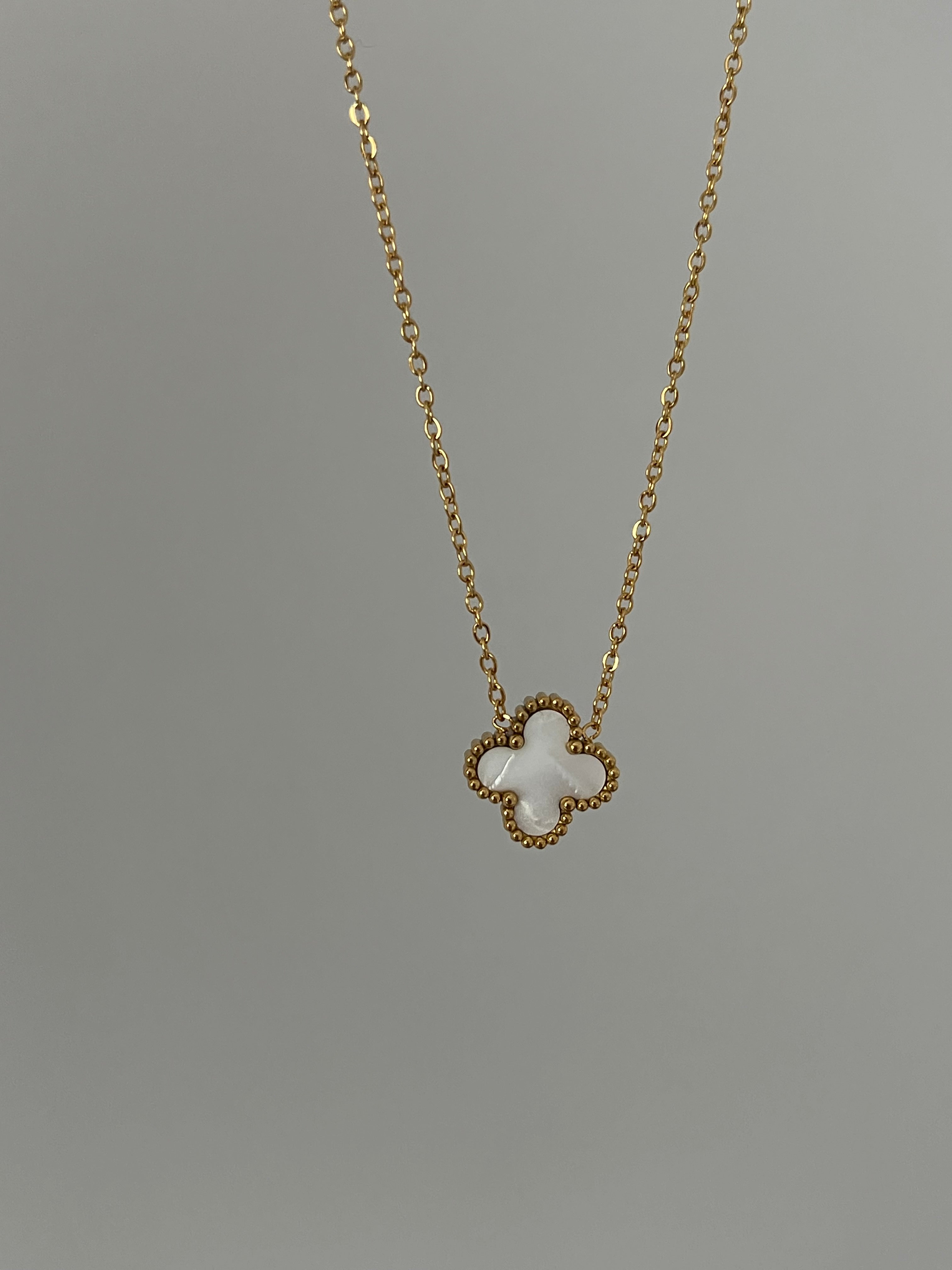 Çelik Van Cle*f Gold Kolye