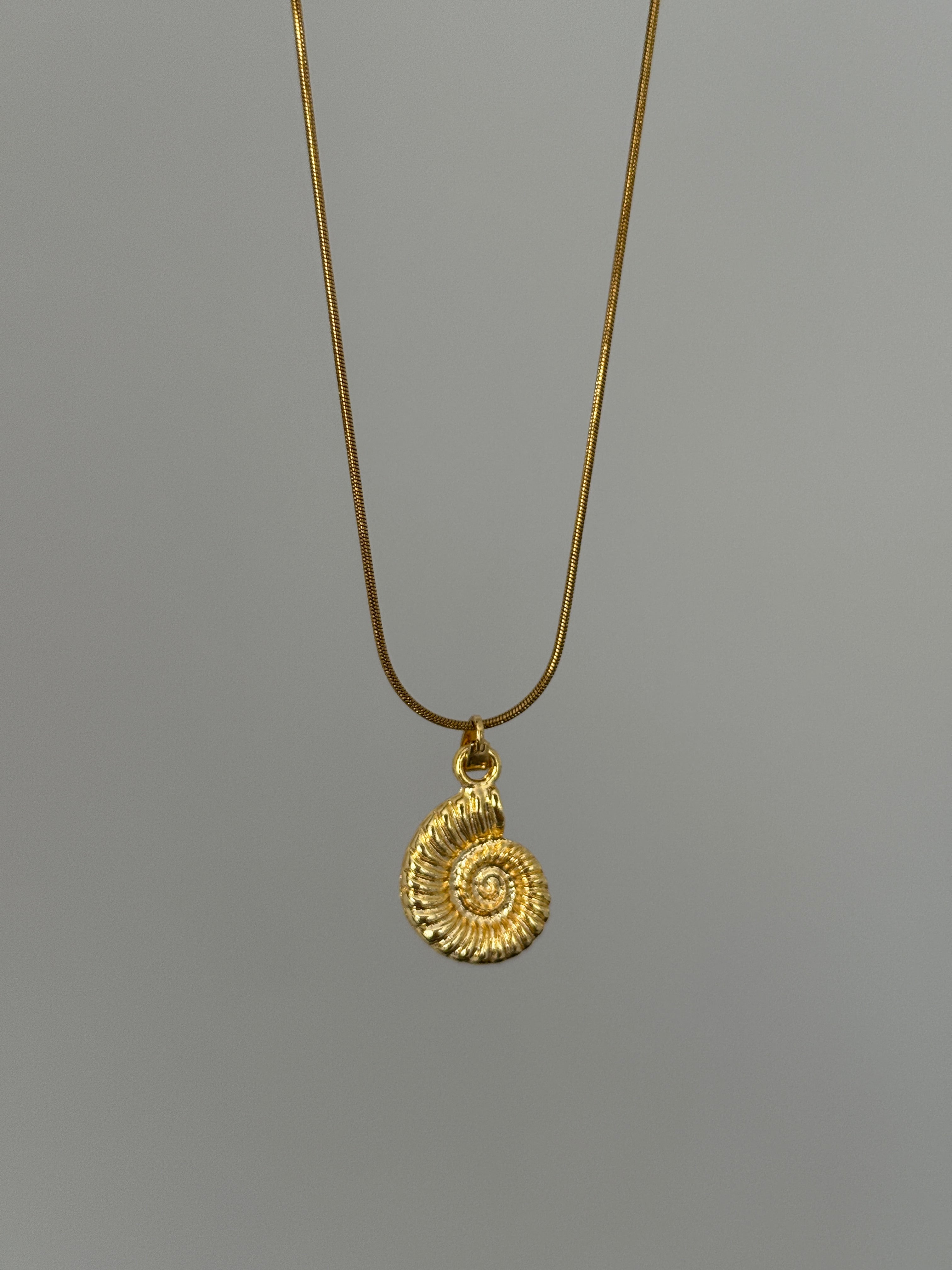 Gold Deniz Kabuğu Kolye