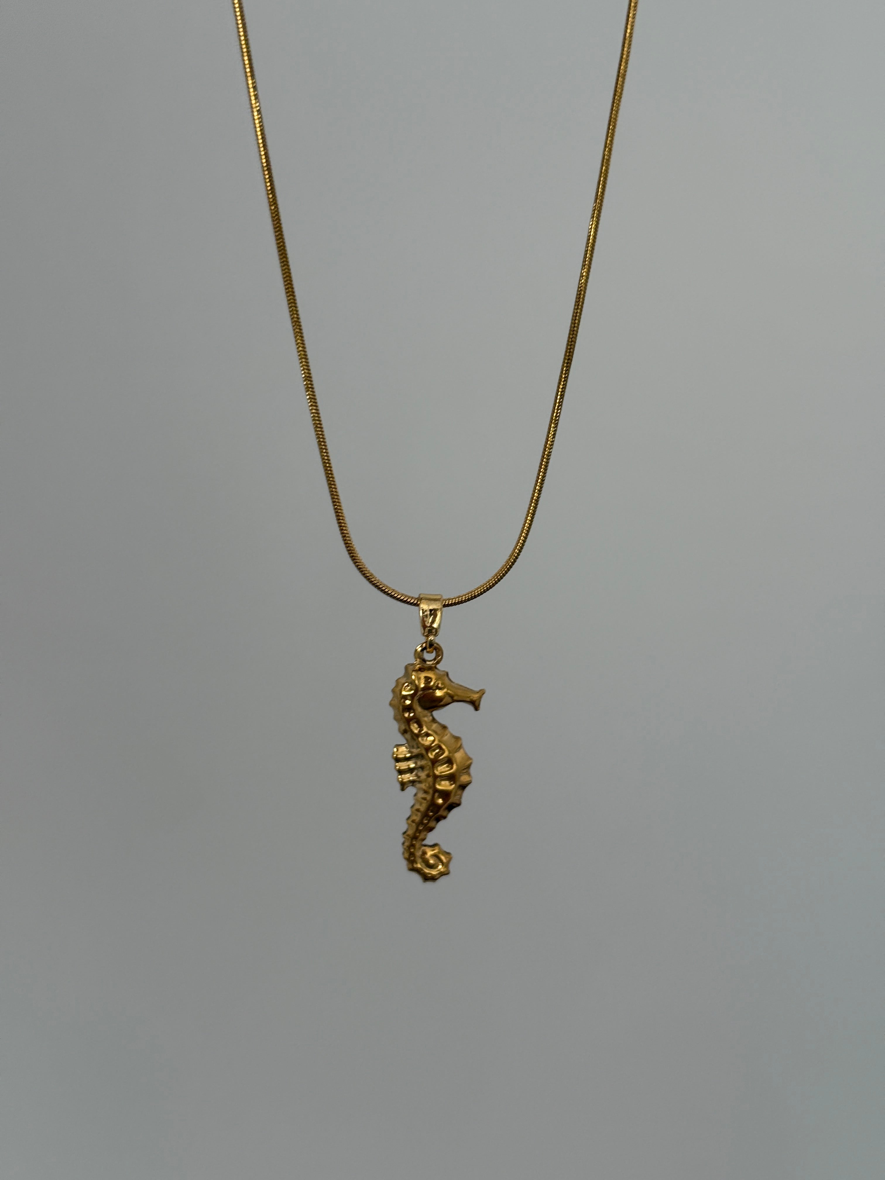 Çelik Şans Deniz Atı Kolye