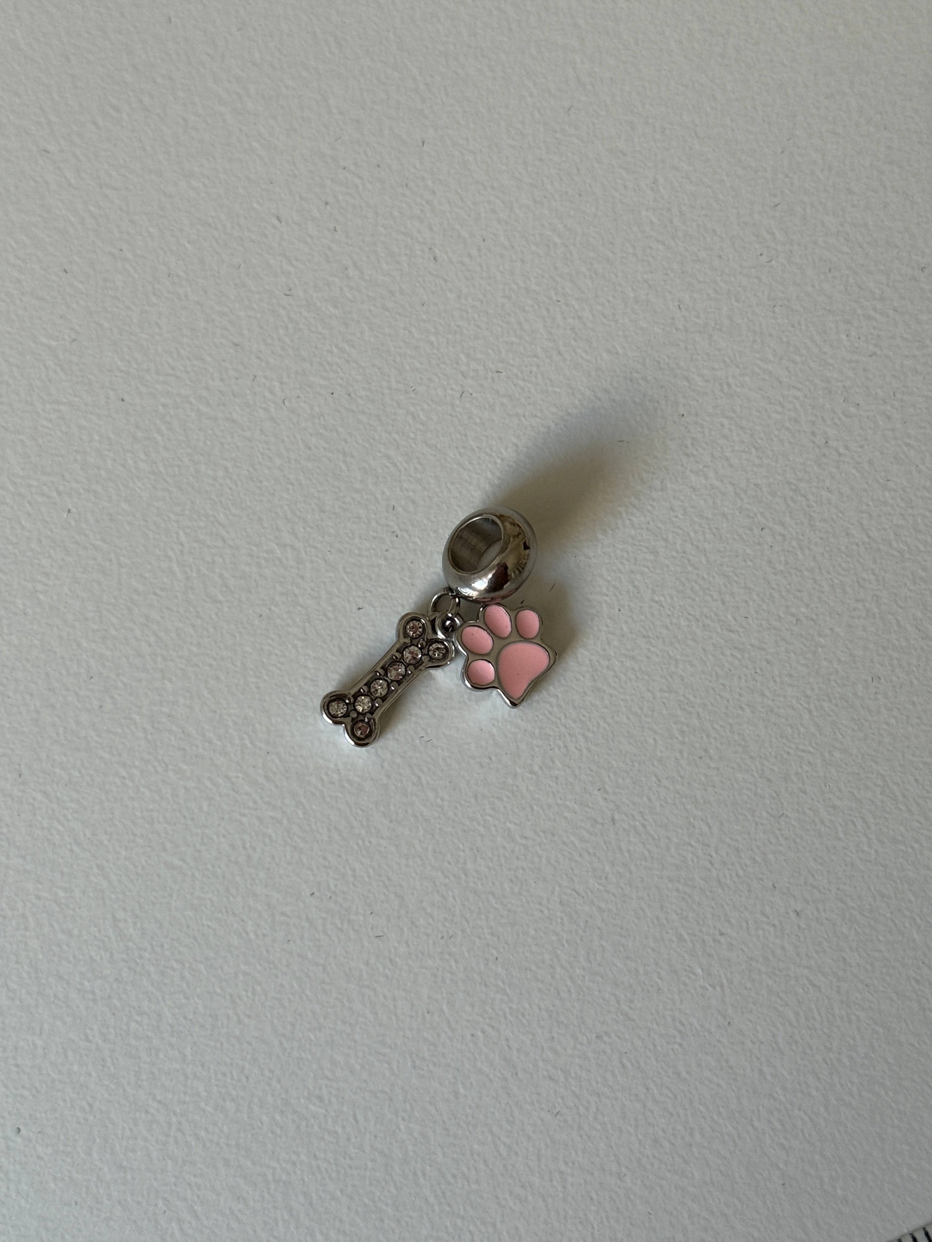 Çelik Kedi Pati ve Taşlı Kemik Charm