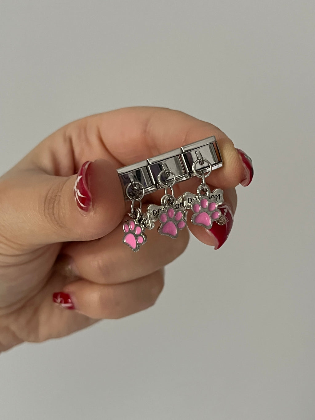 Nomi Köpek Kedi Charm