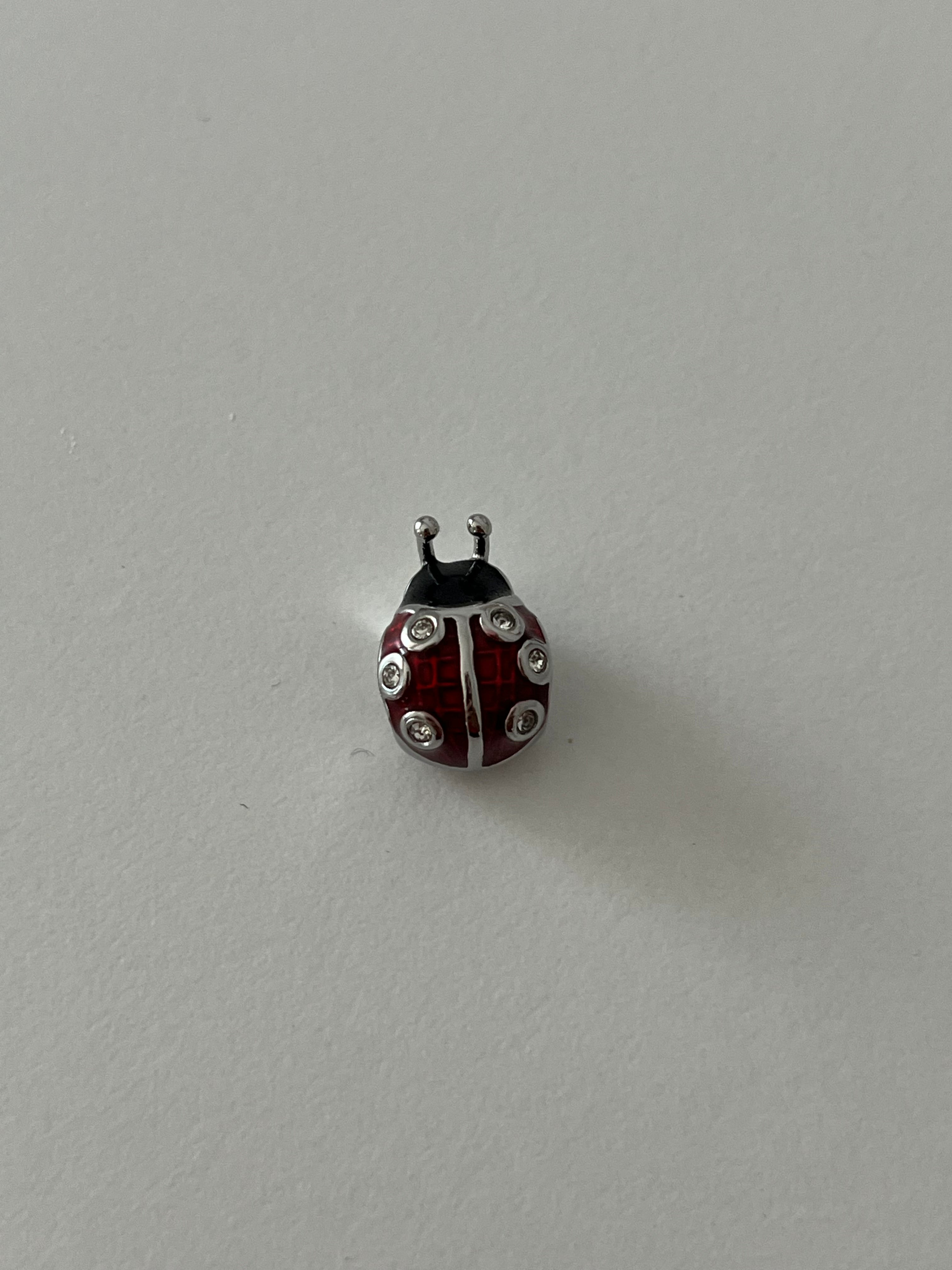 Çelik Uğur Böcegi Charm